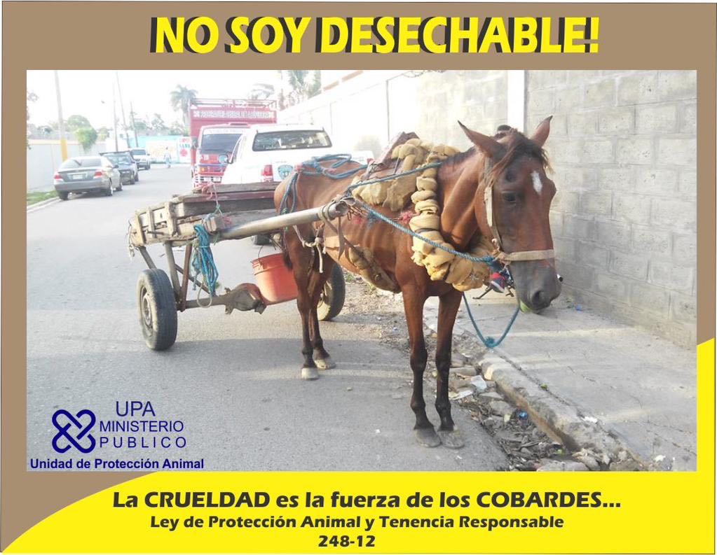 No soy desechable